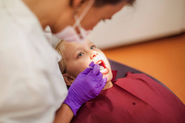 Best Emergency Dental Services for Seniors in Warren Park, IN